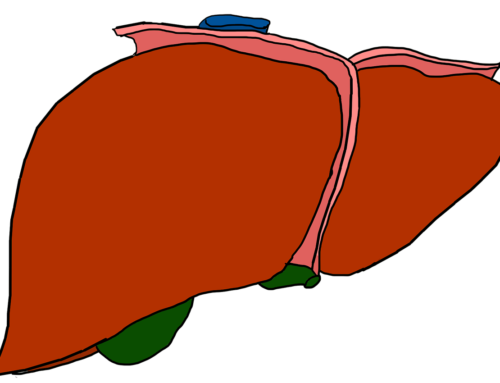 Multi-dimensional Spring-cleaning the Liver