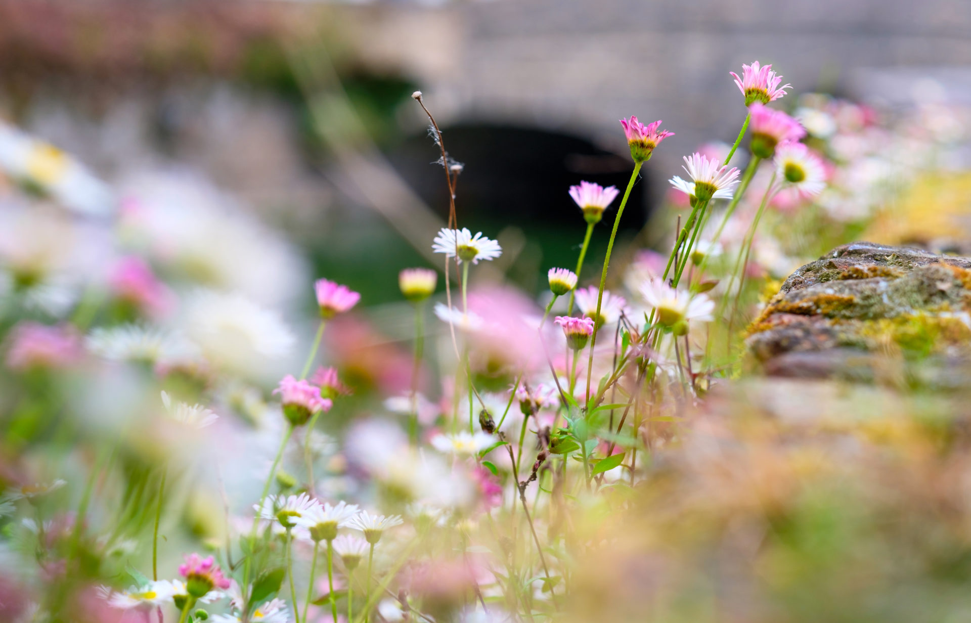 Nature Of Healing