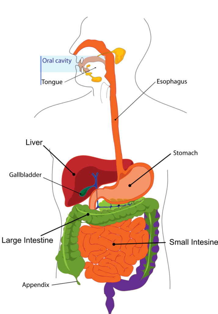 Excess Vitamin D: Too Much Of A Good Thing? | Nature of Healing Excess ...