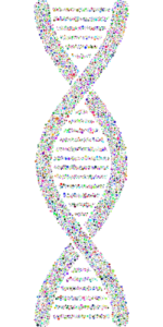 Image by Gordon Johnson from Pixabay