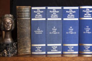 Image by Stefan Schweihofer from Pixabay