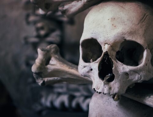 The Death of Critical Thinking